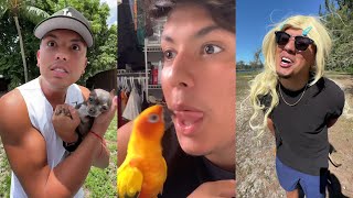 2 HOURS  All Willy Tube TIKTOK Video Compilations 2024  Best Willy Tube Funny Shorts [upl. by Nicolea]