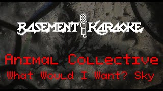 Animal Collective  WHAT WOULD I WANT SKY  Basement Karaoke  Instrumental with lyrics [upl. by Leuneb]