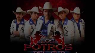 los potros del sur  basto 2011wmv [upl. by Llahsram]