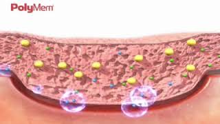 How PolyMem Wound Dressing Works [upl. by Horner837]