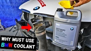 WHY YOU MUST USE BMW COOLANT IN YOUR BMW [upl. by Kim]