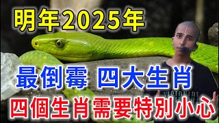 明年2025年最倒霉四大生肖！2025這四個生肖要小心了！再忙再有錢也要看看！ [upl. by Onitsuj]