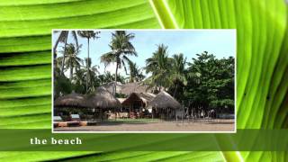 Pura Vida Beach amp Dive Resort Philippines [upl. by Rebliw]