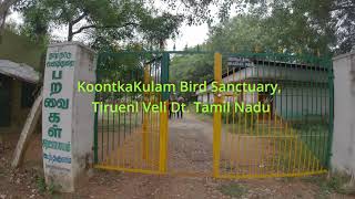 Koonthankulam Bird Sanctuary Tamil Nadi [upl. by Anidam968]