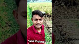 Aaj Bahut hi jada kohira tha  shortvideo shorts short trending vlog minivlog youtube [upl. by Aissatsan]