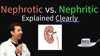 Nephrotic Syndrome vs Nephritic Syndrome Explained Nephritic vs Nephrotic [upl. by Ambur443]