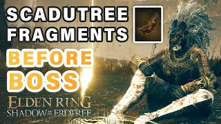 Scadutree Fragments you can get BEFORE First Boss ► Elden Ring DLC [upl. by Analeh]