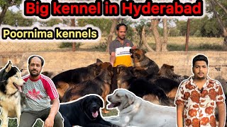 top big kennel visit in Hyderabad Telugu  Poornima kennels hyderabad india telugu dog [upl. by Einalem]