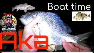 sydney fishing jew big bream flatheads [upl. by Dorri]