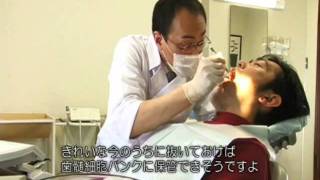 Dental pulp stem cell banking [upl. by Michiko395]