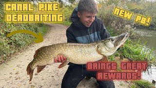 Deadbaiting On My Local Canal Lands Me A New PB [upl. by Anaujal]