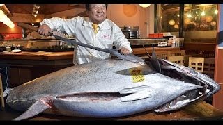 BEGIN Japanology  Tsukiji Market [upl. by Tayib]