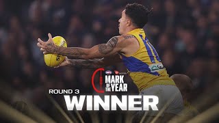 Brockmans high fly wins Mark of the Year nomination  Round 3 2024  AFL [upl. by Connolly]