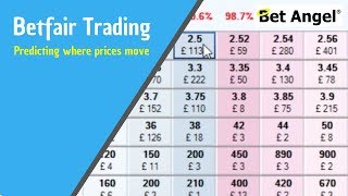 Betfair Trading  Predicting where prices will move  Peter Webb Bet Angel [upl. by Risser]