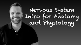 Nervous System Introduction for Anatomy and Physiology CNS and PNS [upl. by Ylsel771]