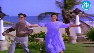 Premabhishekam Movie Songs  Naa Kallu Chebuthunnayi Song  ANR  Jayasudha  Sridevi [upl. by Dory811]