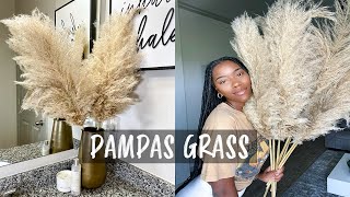 I FOUND FREE PAMPAS  PAMPAS GRASS CARE  DECOR TIPS [upl. by Anujra292]