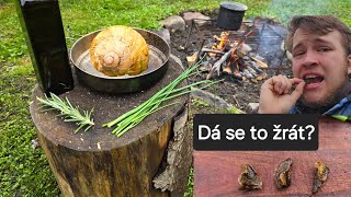 SMAŽENÝ ŠNEK  HLEMÝŽĎ  VAŘENÍ V PŘÍRODĚ  SURVIVAL FOOD SNAILS  VAŘENÍ ŠNECI [upl. by Dellora]