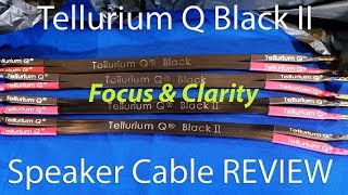 Tellurium Q Black II Speaker Cable REVIEW  Good Scale of Sound Champagne Sound Lemonade Money [upl. by Osrick]