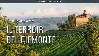 I vini piemontesi e il segreto del terroir  Tannico Flying School [upl. by Bonnibelle]