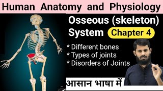 Human Anatomy and physiology chapter 4  Osseous system  Skeleton System  disorders of Joints [upl. by Otis]