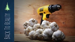 How to Peel Garlic in Seconds with a Drill DIY garlic peeling machine [upl. by Priscella]