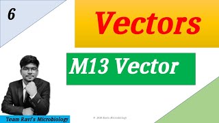 M13 Vector  Clonning Vectors  M13 Bacteriophage  Hindi [upl. by Cloe]