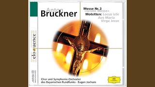 Bruckner Virga Jesse Motet  WAB 52 [upl. by Eniahs190]