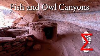 Fish and Owl Canyons backpacking and finding cliff dwellings Cedar Mesa Utah [upl. by Wolenik]