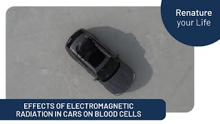 Effects of electromagnetic radiation in cars on blood cells [upl. by Cesaro485]