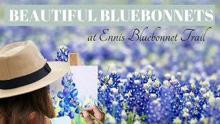 The Most Beautiful Ennis Bluebonnet Trail  Painting Bluebonnets [upl. by Aikemot819]