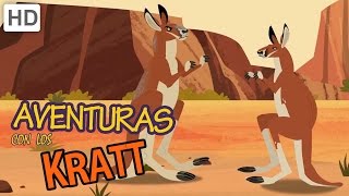 Aventuras con los Kratt  Combatiendo Canguros [upl. by Nirat778]