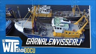 Garnalenvisserij Lukkien  DOCU [upl. by Kella]