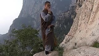 Shaolin Kung Fu Combat Styles 2 big Buddhas 18 hands 罗汉十八手 luohan shiba shou [upl. by Pain451]