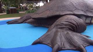 Bibra Lake Big Turtle Video John J Zylstra [upl. by Cimah]