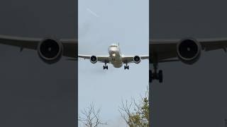 BOEING 7879 DREAMLINER SAUDIA JEDDAH TO AMSTERDAM LANDING SCHIPHOL AIRPORT PLANE SPOTTING HZAR11 [upl. by Liauqram]