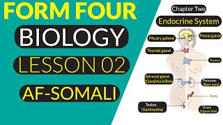 FORM FOUR  BIOLOGY  HORMONES  AFSOMALI [upl. by Tomasine67]