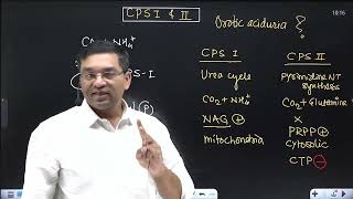 Link between Urea cycle and Pyrimidine NT synthesis  CPS 1 and 2 Orotic aciduria in Type 2 UCD [upl. by Dev]