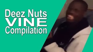 These Nuts Guy  Official Deez Nuts Vine TikTok Compilation [upl. by Yornek]