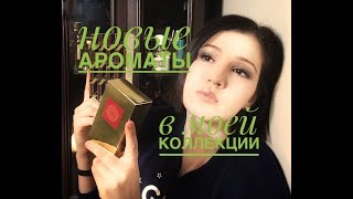 Новые ароматы в коллекции [upl. by Hakeem]