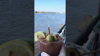 Dive Bar Sunday Bloody Mary bloodymary kathleenmadigan [upl. by Hakon]