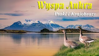 Wyspa AukraPtaki i krajobrazy [upl. by Ellenaj361]