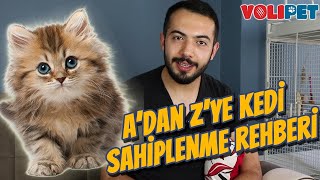 KEDİ SAHİPLECEKLERİN BİLMESİ GEREKENLER Kedi Bakımı Mama Tüy Dökmesi Kedi Aşıları [upl. by Arel]