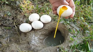 Increíble La Pesca Con Huevos Naturalmente De Los Alimentos De La Pesca 3R R [upl. by Ahsiened]