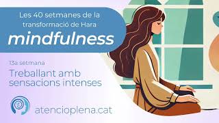 Les 40 setmanes de la transformació de Hara  Setmana 13 Sensacions intenses mindfulness català [upl. by Ekusuy]