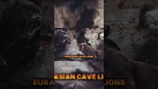 Eurasian Cave Lions Hunted Cave Bears ancienthistory [upl. by Dyolf]