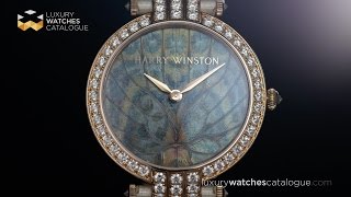 HARRY WINSTON Premier Precious Butterfly [upl. by Mieka159]