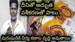 దీని ఉపయోగాలుతెలిస్తే షాక్అవుతారు   Putta Tene Uses AyurVedam All Ap AyurVedam VaseeKaranam [upl. by Ahsikym]