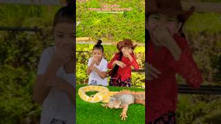 Iguana Ikutan Joget sama Bawang Merah Bawang Putih 🤣🤣 shortvideos storrytelling viral [upl. by Hausmann747]