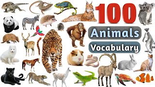 Animals Vocabulary In English ll 100 Animals Name In English With Pictures [upl. by Anneh]